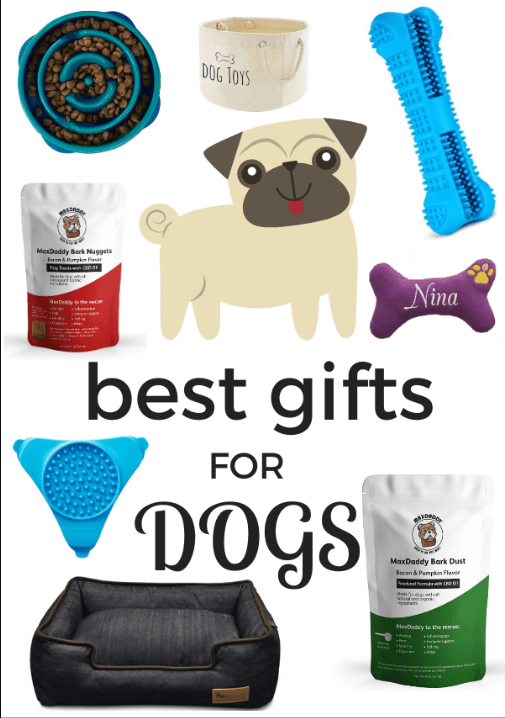 Pet Supplies Stores Have Perfect Gift To Offer For Your Dogs