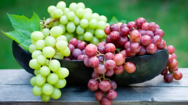 Grapes Have Many Medical Benefits