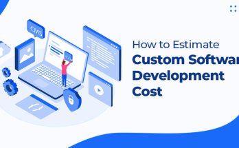 Ways to Estimate Custom Software Development Costs for Your Projects