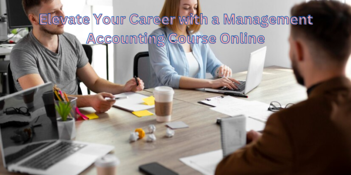 Elevate Your Career with a Management Accounting Course Online