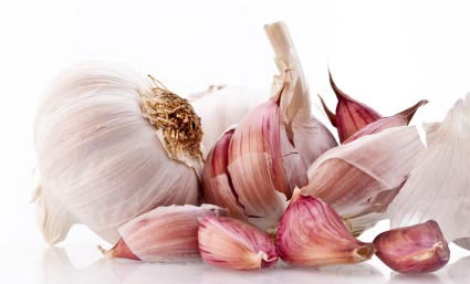 Detailed Report on Garlic Processing Plant Setup Cost, Layout and Raw Material Requirements