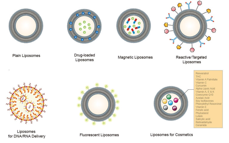 Liposomes