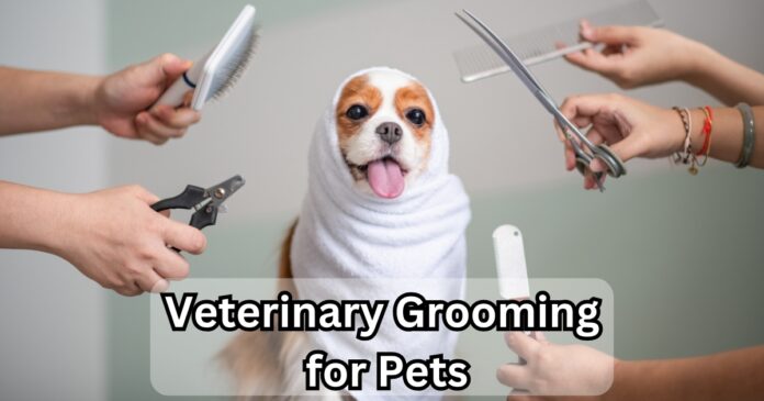 Veterinary and Grooming Services for Your Pet