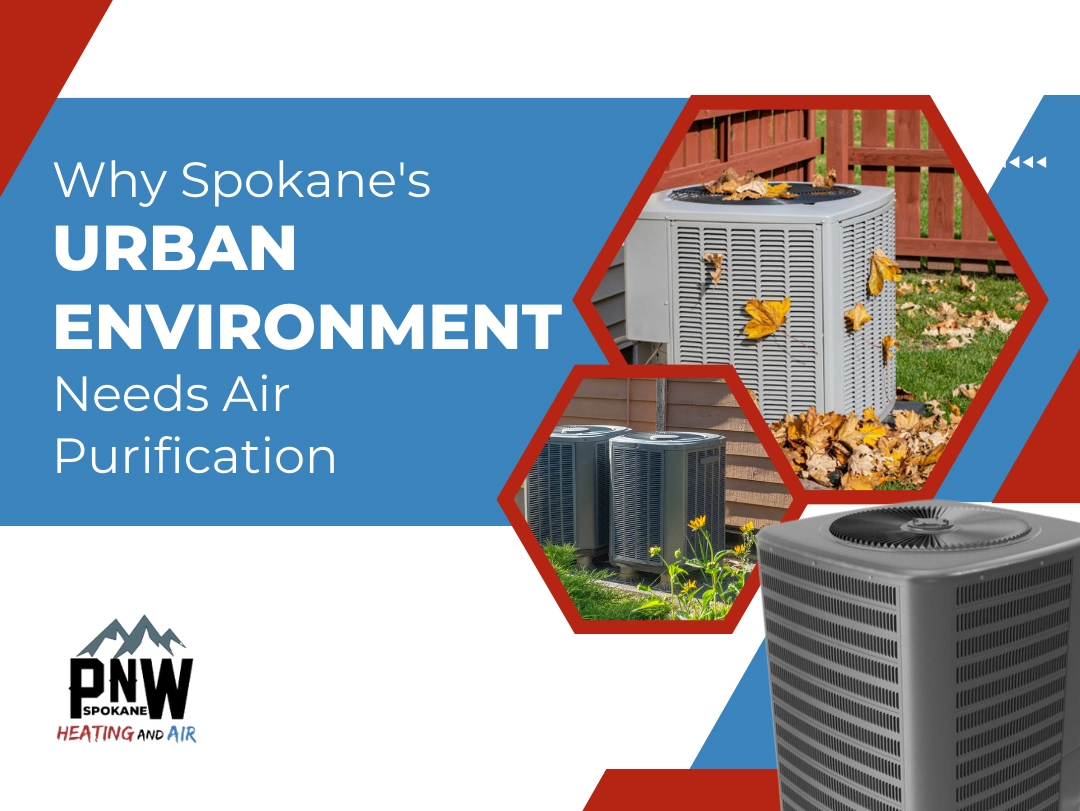 air purification services