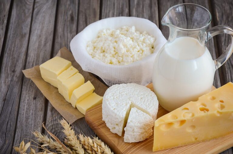 Lactose Manufacturing Plant Setup Report 2024: Cost, Raw Material Requirements and Infrastructure