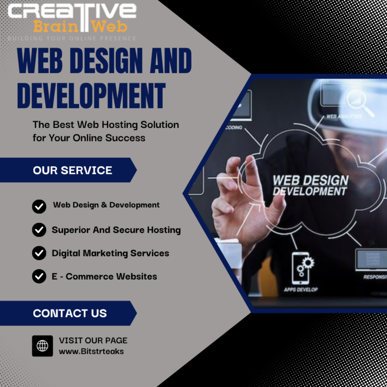 Web Design Company in Faridabad